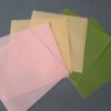 Specialty DSP Perennial Essence Vellum 6"