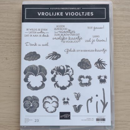 Bundel Vrolijke Viooltjes - Afbeelding 2